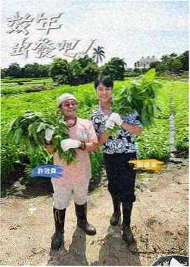 家庭剧三号院的夏天海报
